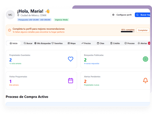 Vista previa del dashboard
